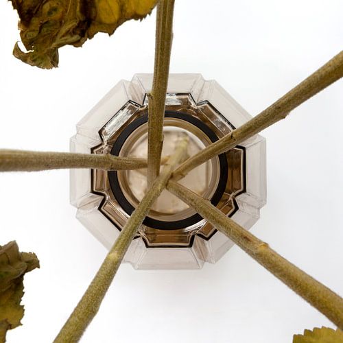 Vase von oben (#31, Vase von Monique)