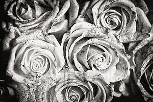 Vintage Roses - Ancient Marble