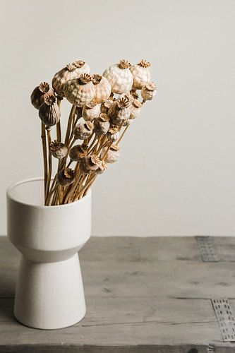 Stilleven met gedroogde papaverbollen (1)