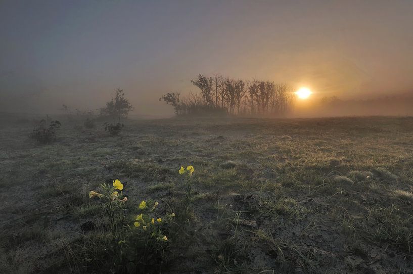 Sunrise in the Schoorl dunes by John Leeninga