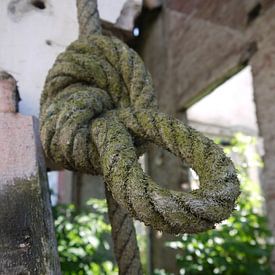 The rope with a big knot van kai van lierop
