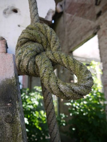 The rope with a big knot