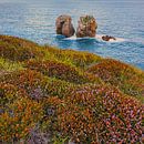 Urro del Manzano, Cantabria, Spain by Henk Meijer Photography thumbnail