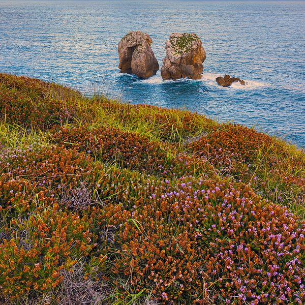 Urro del Manzano, Cantabria, Spain by Henk Meijer Photography