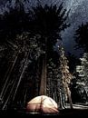 All I Need II by Mad Dog Art thumbnail