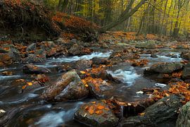 La Hoëgne in autumn