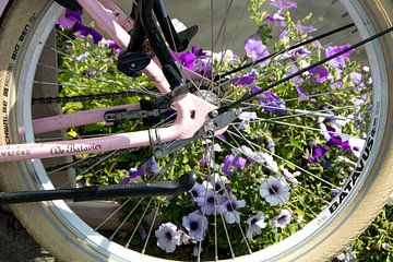 Fietswiel met bloemen op de achtergrond van Adriana Zoon