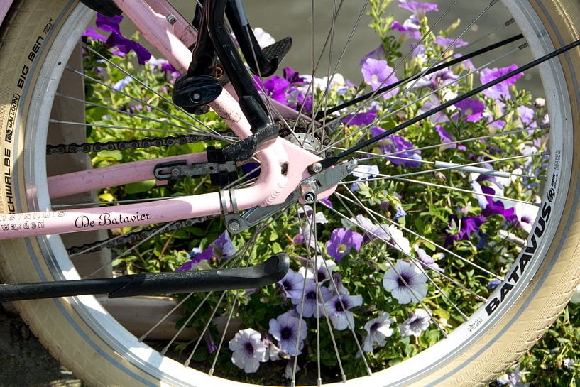 Fahrrad-Rad mit Blumen von Adriana Zoon