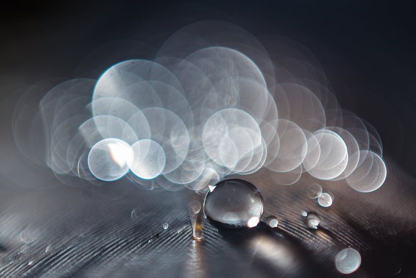 Water drop on a spring with bokeh background by Bert Nijholt