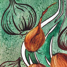 Onions by Thomas Suske