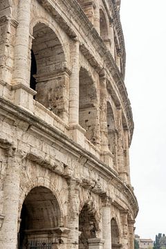 A detail of the Colosseum in Rome
