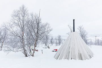 Winterlandschaft mit Tipi-Zelt, Bäumen und Hundeschlitten