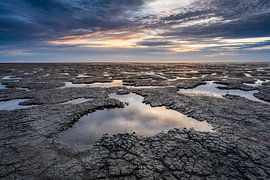 View of Wadden Sea World Heritage by Jasper Suijten