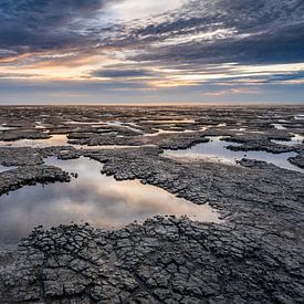 Blick auf das Weltnaturerbe Wattenmeer von Jasper Suijten