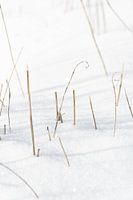 Merveilles hivernales minimalistes