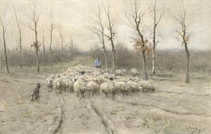 Troupeau de moutons sur la lande près de Laren, Anton Mauve