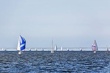 Zeilen op de Oosterschelde (Zeeland, Nederland) (cartoon) van Fotografie Jeronimo