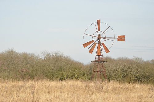 windmolen in land naast de linde weststellingwerf