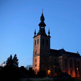 Basiliek van Kortenbos van Arne Pyferoen