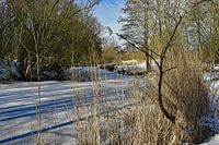 Winterlandschap