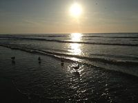 Ondergaande zon