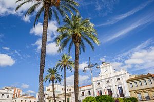 Palmen vor dem Rathaus auf dem zentralen Marktplatz von Merida von Marc Venema
