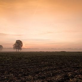 Herfstdag met zonsopkomst en ochtendmist von Saskia Smulders