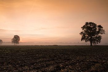 Herfstdag met zonsopkomst en ochtendmist