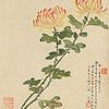 Liang Yuwei - Fleurs Pl.10 sur Peter Balan