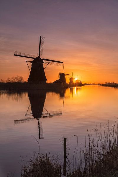 Five in a row! by Jan Koppelaar