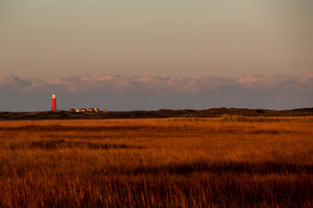 Blick auf De Slufter und Vuurtoren Texel bei Sonnenuntergang auf den Watteninseln