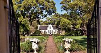 Cape Dutch manor house in a garden under camphor trees