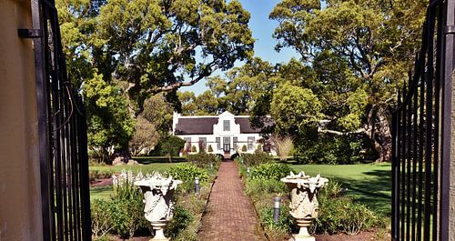 Cape Dutch Gutshaus in einem Garten unter Kampferbäumen