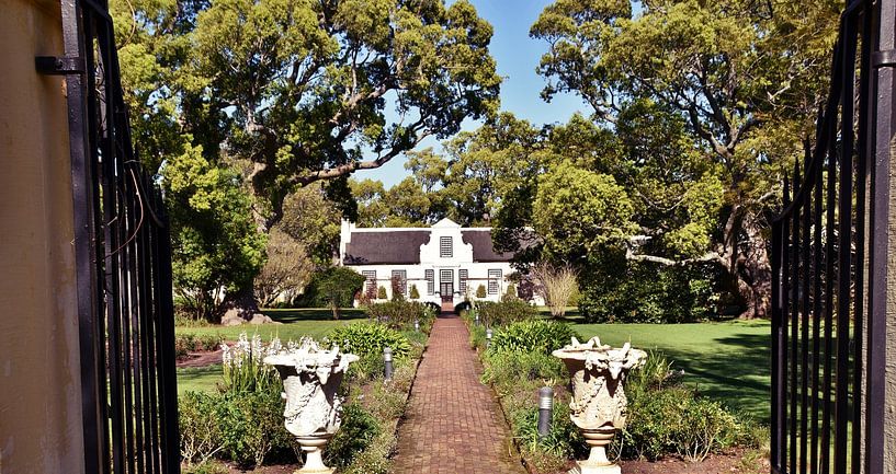 Cape Dutch manor house in a garden under camphor trees by Werner Lehmann