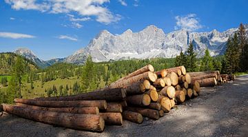 Holzlagerung vor der Kulisse des Dachsteingebirges von Christa Kramer