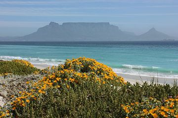 southafrica ... table mountain