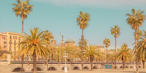 Passeig de Colom