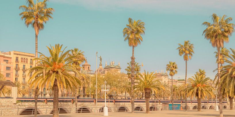 Passeig de Colom par Michael Schulz-Dostal