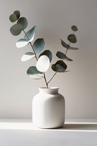 Eucalyptus in witte vaas