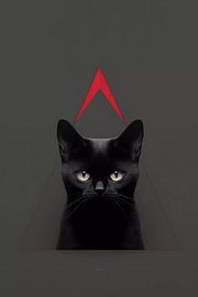 Black cat by haroulita