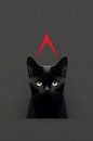 Black cat by haroulita thumbnail