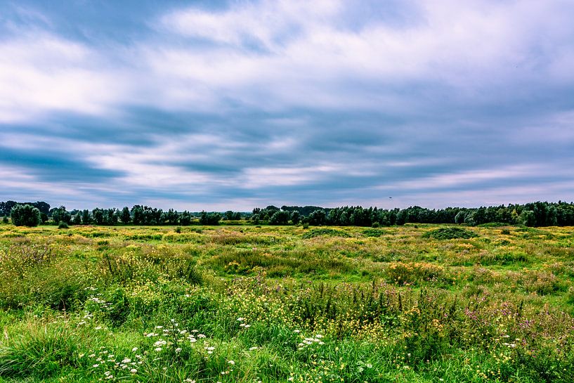 Uitzicht bij fort Panerden par David van Coowijk
