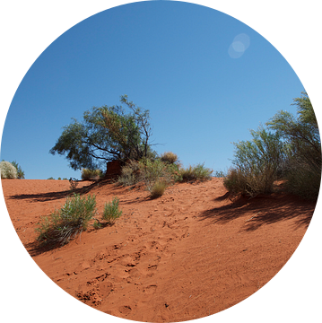 Rode zandduin in de Outback van Australië van Bart van Wijk Grobben