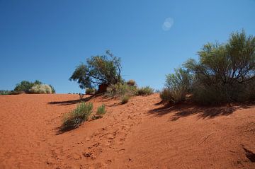 Red sand dune in Australia's Outback by Bart van Wijk Grobben