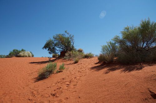 Rode zandduin in de Outback van Australië