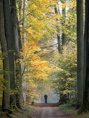 Herfst 2018 deel 4