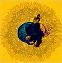 Dandelion of life 8 by Tihana Buterin thumbnail