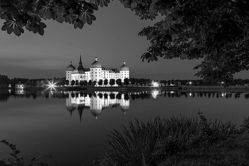 Schloss Moritzburg (Schwwarz-Weiss-Fotografie) von Frank Herrmann
