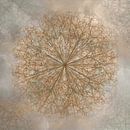 Mandala, krijtlijnen, bruine oker van Rietje Bulthuis thumbnail