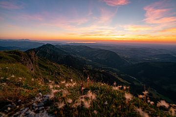 Flowery sunset from the Hochgrat towards Lake Constance by Leo Schindzielorz